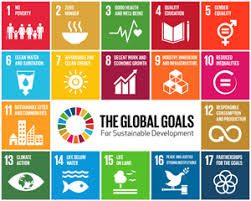 Can Renewable Energy Deliver on the UN Sustainable Development Goals?