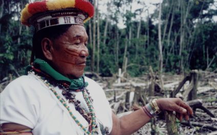 The Right to Health of Indigenous Peoples and Nature