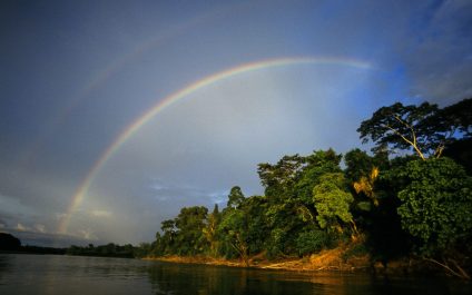 Renewable Energy: an inexhaustible resource, who will assume the externalities?