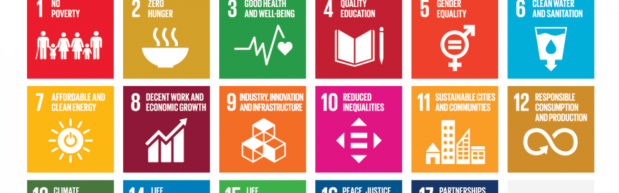 Mapping the Renewable Energy Sector to the Sustainable Development Goals