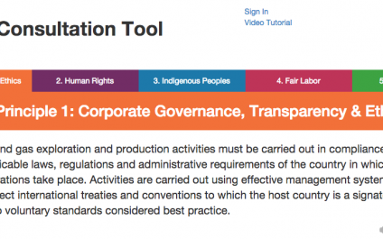 Crowdsourcing Higher Social and Environmental Standards