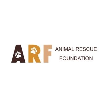 ARF - Animal Rescue Foundation