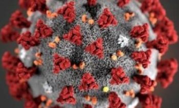 Preparing for Coronavirus (COVID-19) Business Continuity Plans and Home Working. How we've prepared and what we suggest you do