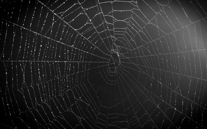 What is the Dark Web and Why Should We Care?