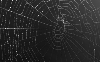 Dark Web and Business: What Is It and Why Should My Business Care?