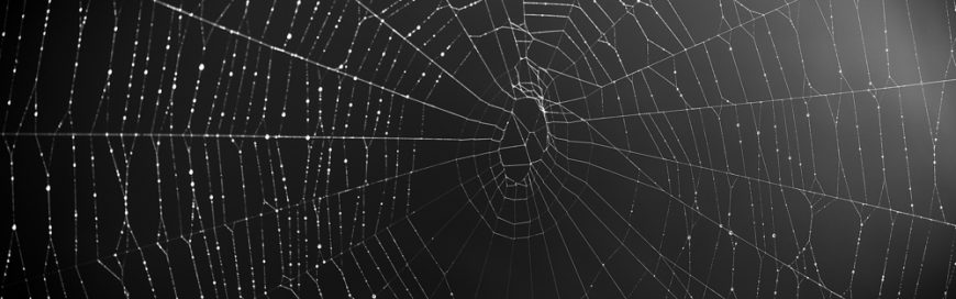 What is the Dark Web and Why Should We Care?