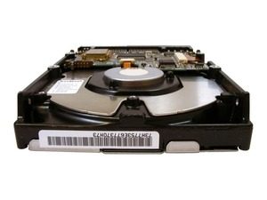 How You Can Prevent Data Loss