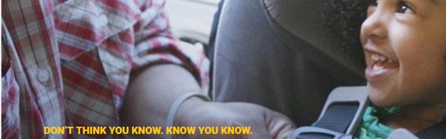 Car Seats and Booster Seats