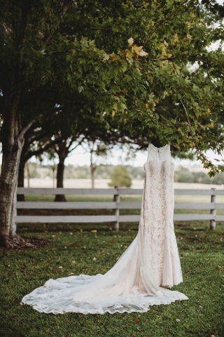 Img-PermaVista-EarnestWedding-2