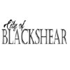 img-testimonial-blackshear-city