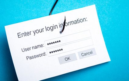 Phishing Trends Business Leaders Need to Know About