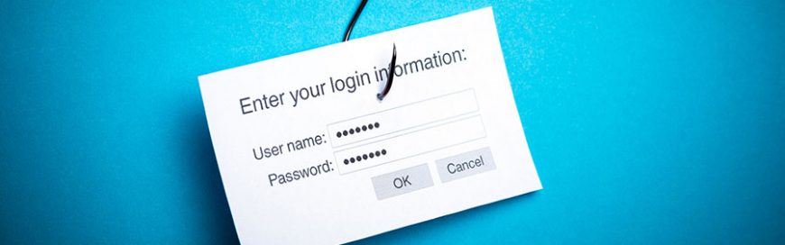 Phishing Trends Business Leaders Need to Know About