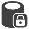 02-NetworkSecurity-icon