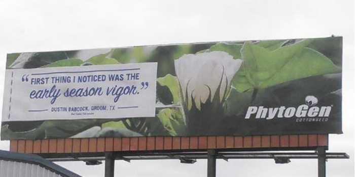 phytogen-cottonseed-bulletin-billboard-1
