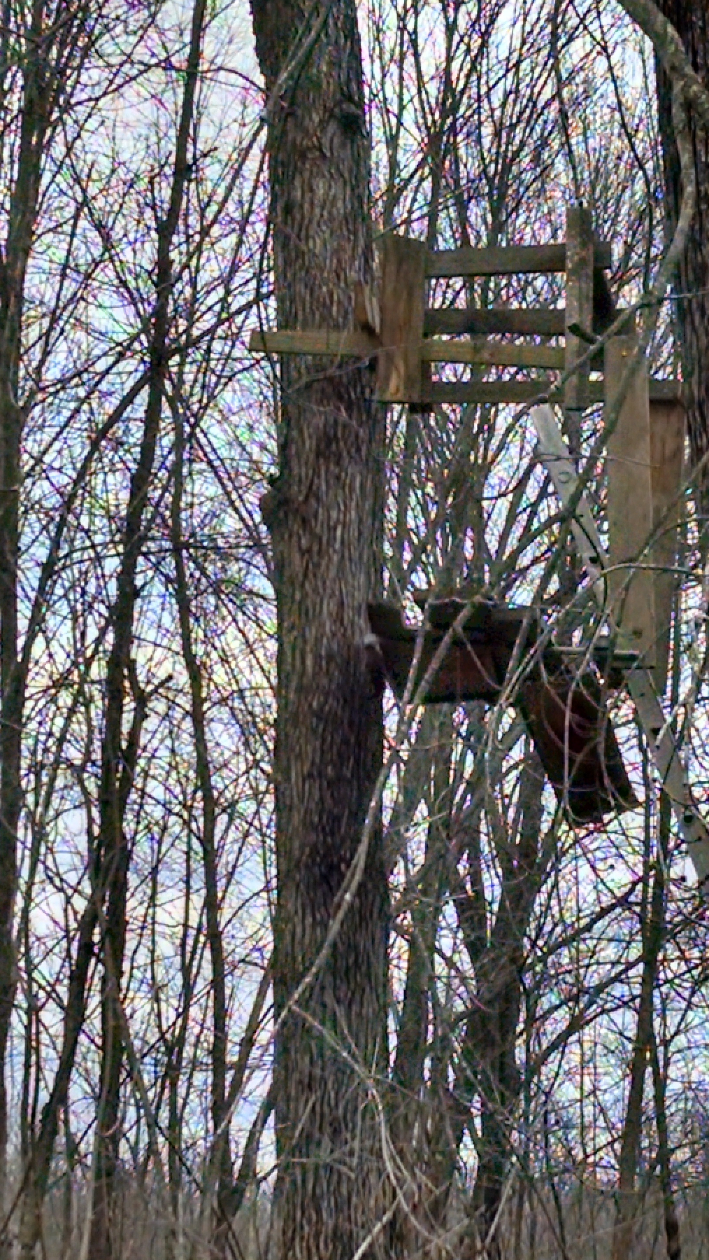 IMG_20151123_150041271_HDR