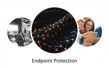 Endpoint Security Protection