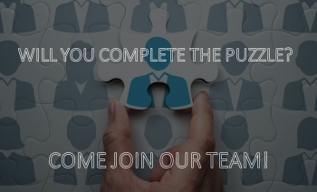 Project Engineer/System Administrator