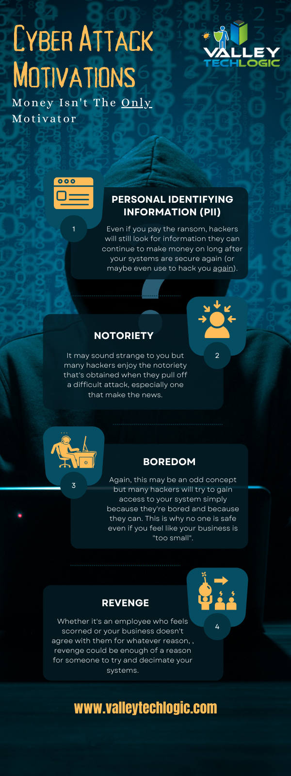 Hacker Motivations Infographic