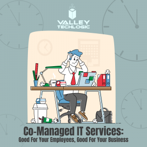 Co Managed IT Services