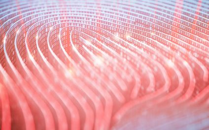 Humans: The weakest link in DMS security