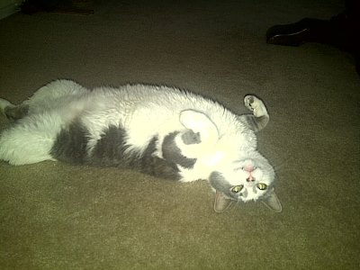 Amy-Whiskey-resized