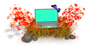 image-flowers-laptop