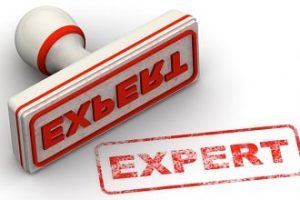 Experts appreciate working with other experts
