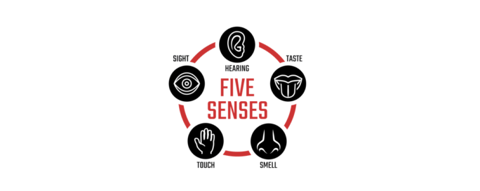 The 5 Senses of Information Technology
