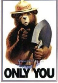 Only YOU Can Prevent Online Threats