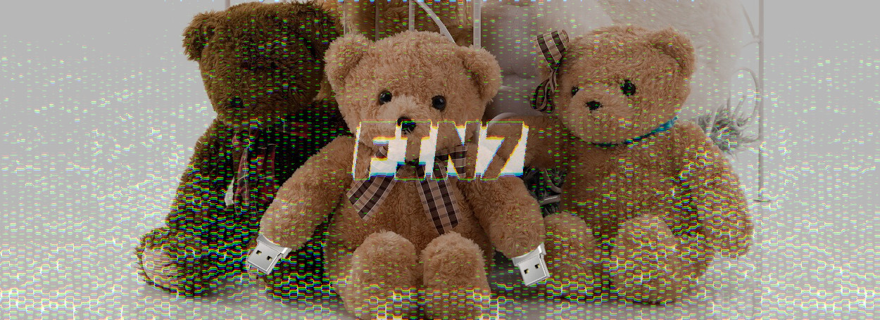 FIN7_TeddyUSB0