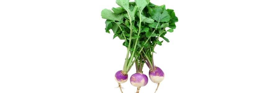 img-blog-Try-a-Tasty-a-Turnip