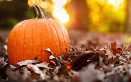 Nutritional Benefits of Pumpkin