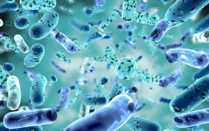 Probiotics – What Are They and Why Are They Important?