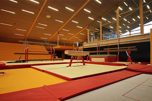 gymnastic equipment