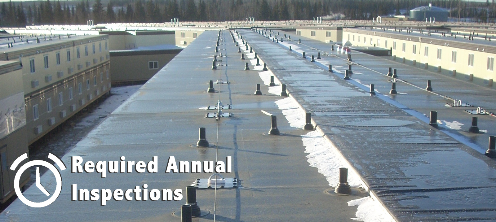 Anchor Point Inspections