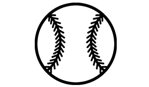 Athletic Netting Systems, Netting Fall Solutions - Cambridge, Kitchener