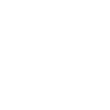 icon_renters_insurance