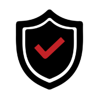 Cybersecurity Protection Icon