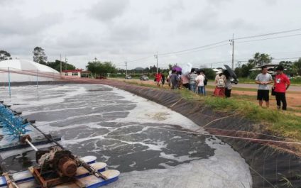 Professional Training Program on Advanced Shrimp Farming