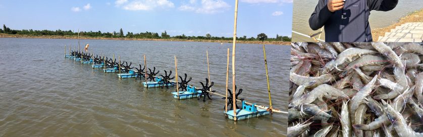 Asian Aquaculture 2018