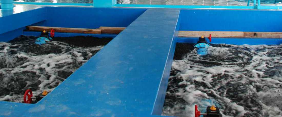 recirculating aquaculture systems and aquaponics asian