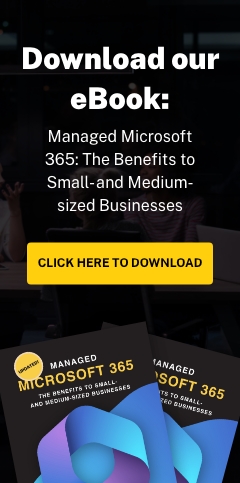 Stronghold-Managed-Microsoft365-InnerPageBanner