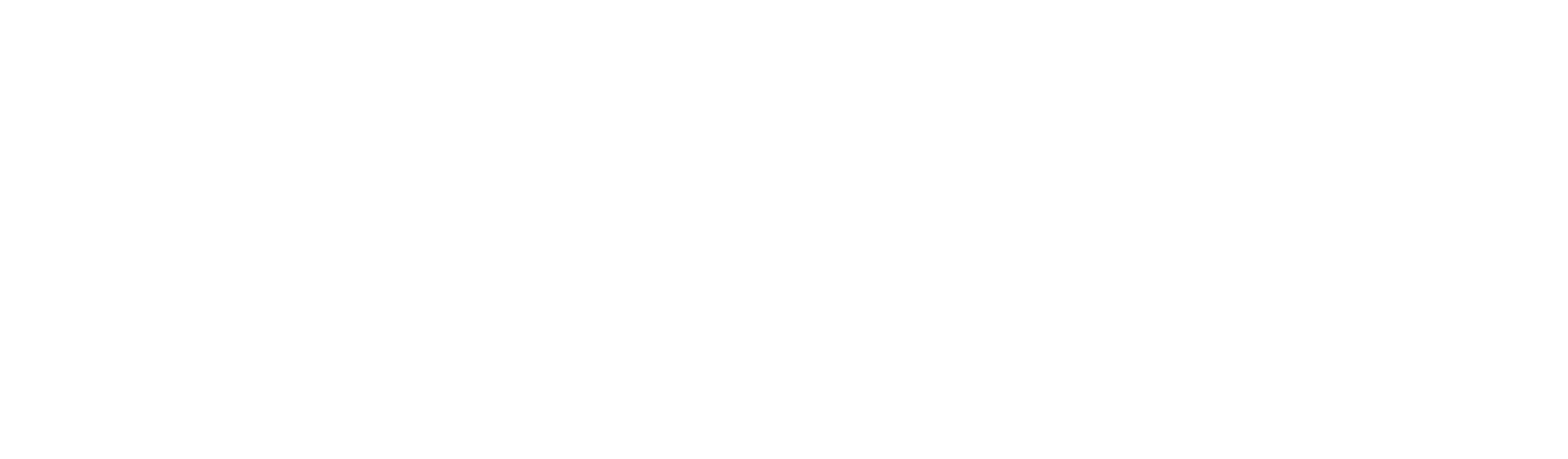 ARS_logo_blanc