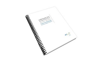 Guide 2015 des coûts et services en TIC pour dirigeants d’entreprises secteur Québec