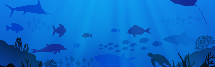 World Oceans Day 2020