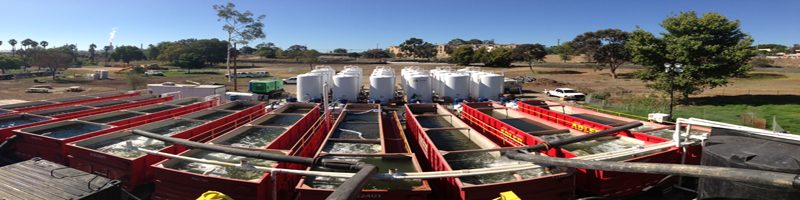 Environmental Impacts of Dewatering