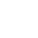 icon-consulting-services