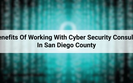 5 Benefits Of Working With Cyber Security Consultant In San Diego County