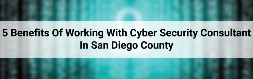 5 Benefits Of Working With Cyber Security Consultant In San Diego County