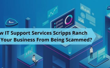 How IT Support Services Scripps Ranch Help Your Business From Being Scammed?